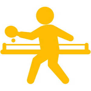 Research Table Tennis Players Profiles to make successful bets on Melbet
